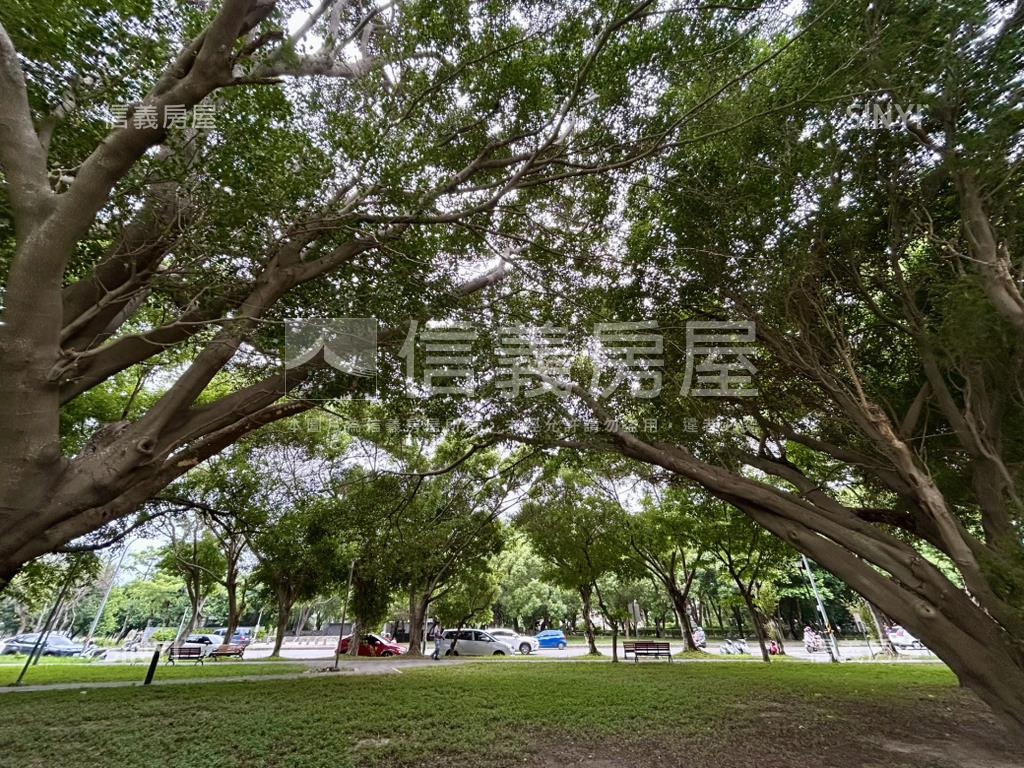 湳雅武陵森林首席高樓三房房屋室內格局與周邊環境