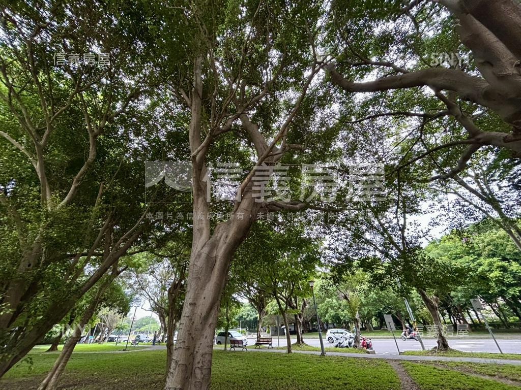 湳雅武陵森林首席高樓三房房屋室內格局與周邊環境