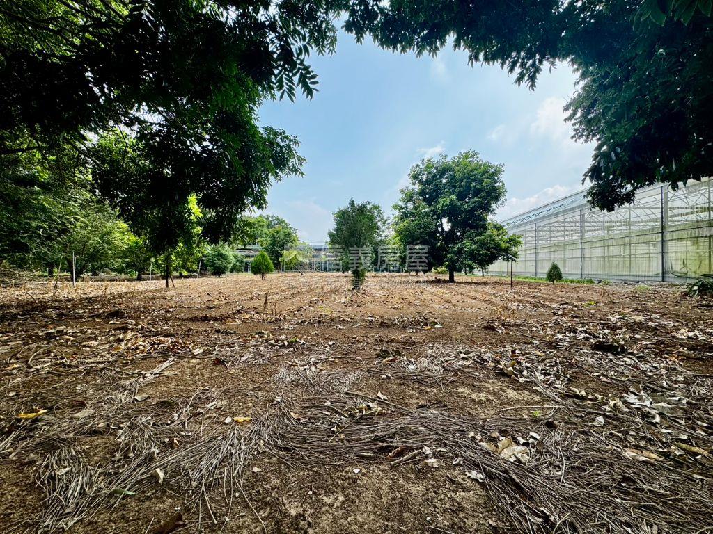 新社絶美農地約５０８４坪房屋室內格局與周邊環境