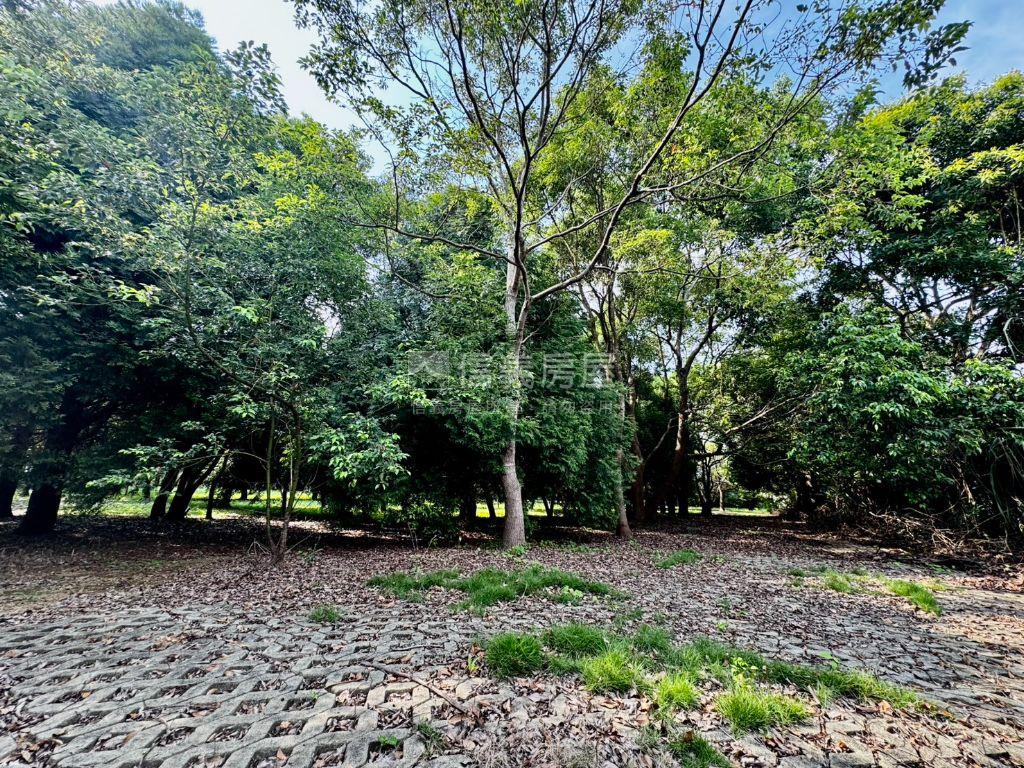 新社絶美農地約５０８４坪房屋室內格局與周邊環境