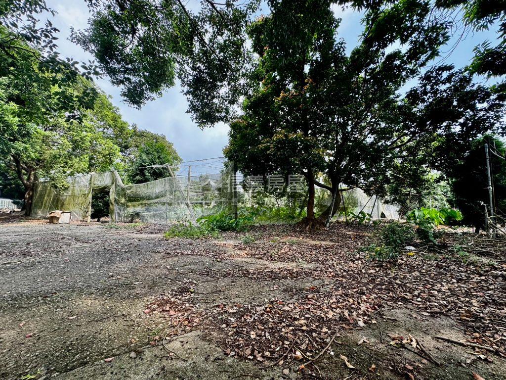 新社絶美農地約５０８４坪房屋室內格局與周邊環境