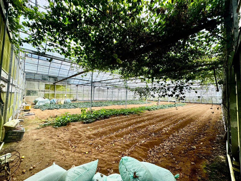 新社絶美農地約５０８４坪房屋室內格局與周邊環境