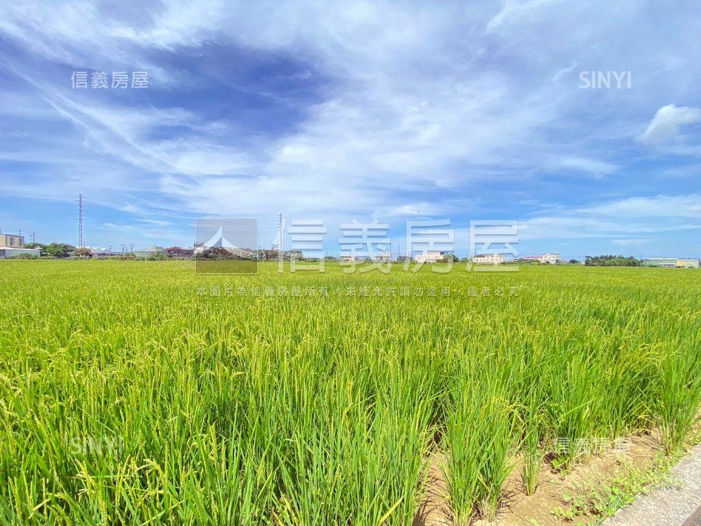 新屋後湖５９５土地房屋室內格局與周邊環境