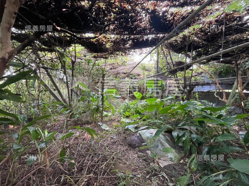 新社雙面臨路農地房屋室內格局與周邊環境