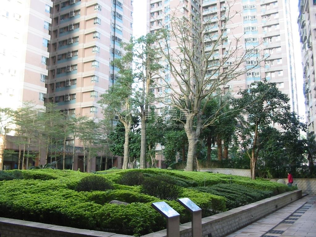 天闊高樓河景美宅房屋室內格局與周邊環境