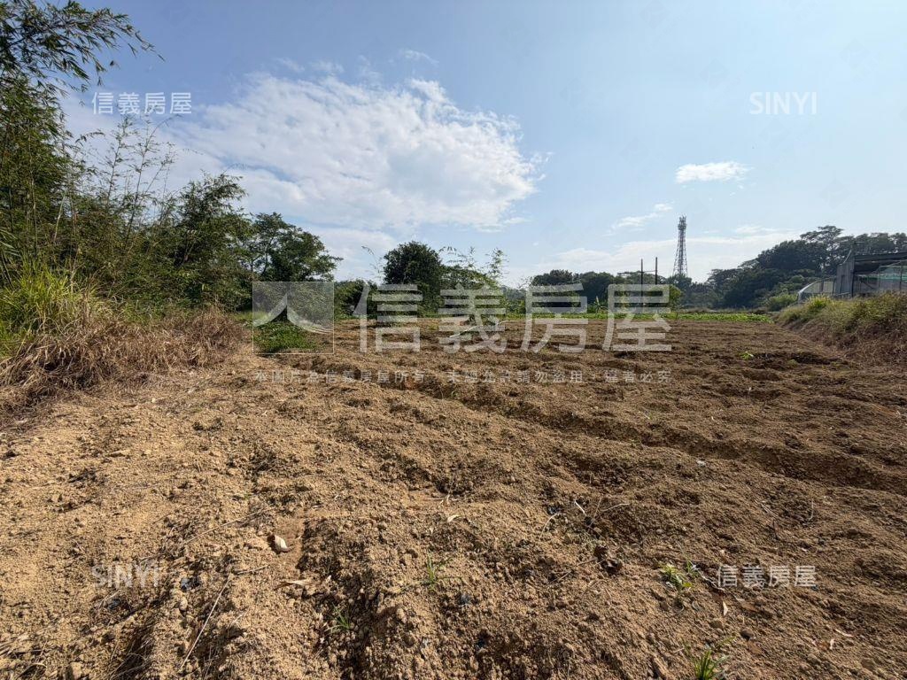 新化農場旁約２．６分農地房屋室內格局與周邊環境