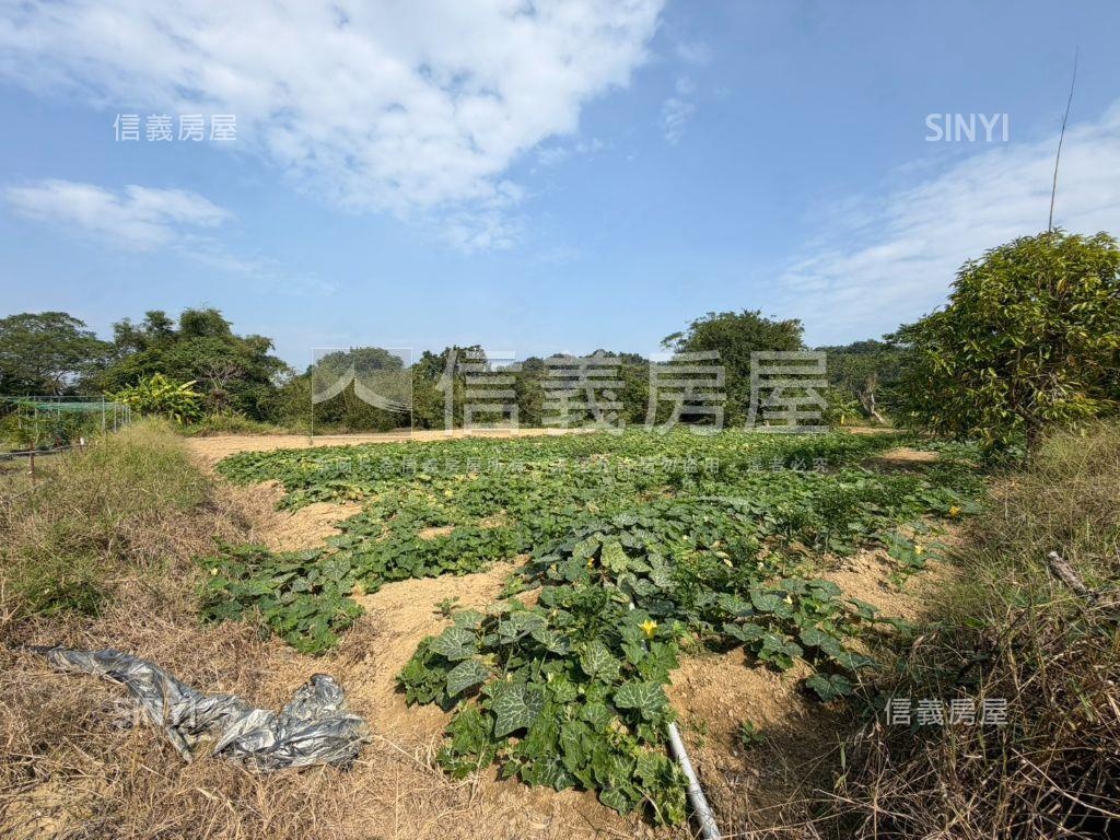 新化農場旁約２．６分農地房屋室內格局與周邊環境