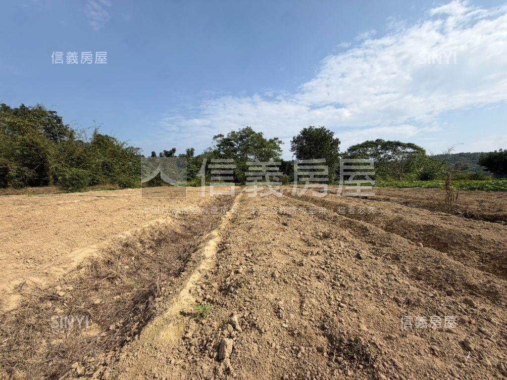 新化農場旁約２．６分農地房屋室內格局與周邊環境