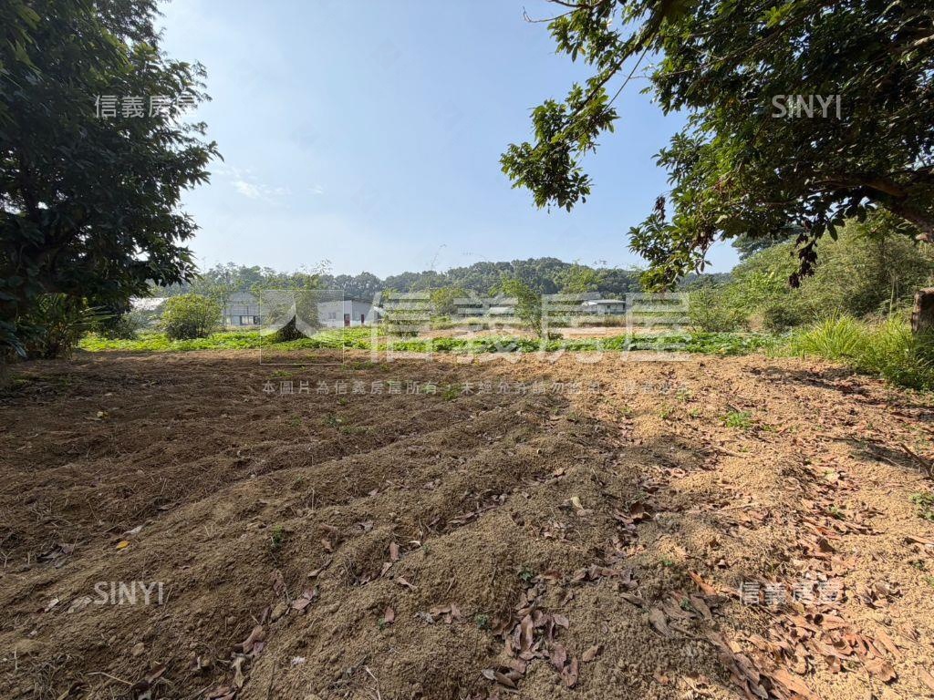 新化農場旁約２．６分農地房屋室內格局與周邊環境