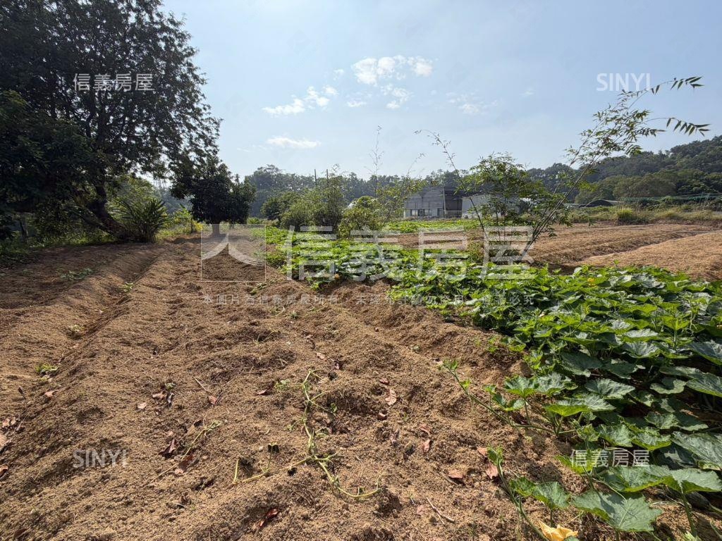 新化農場旁約２．６分農地房屋室內格局與周邊環境