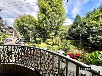 雙層綠景稀有美之城庭院宅