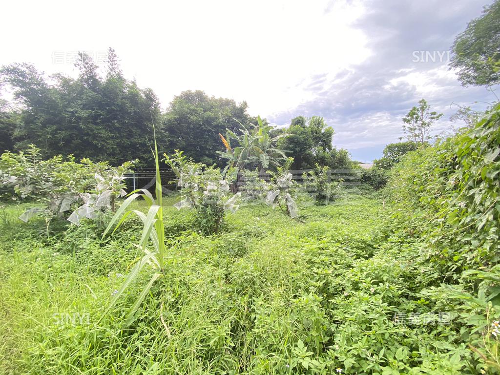 大溪石門水庫旁開心農地房屋室內格局與周邊環境