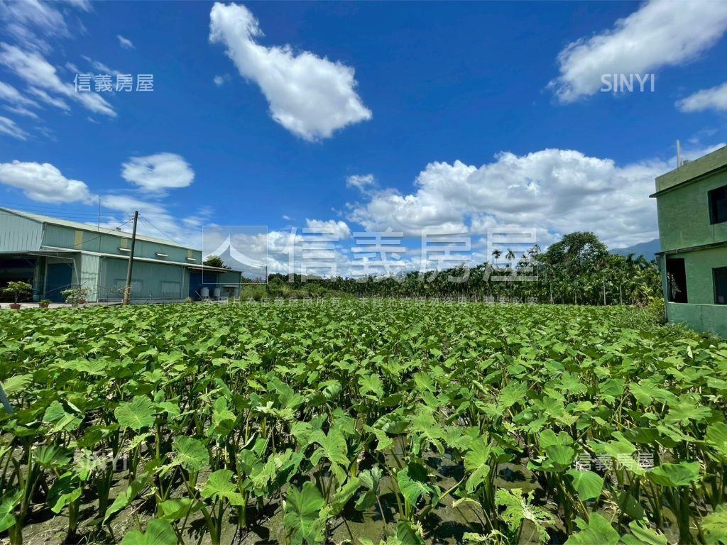 高美路縣道旁美麗土地房屋室內格局與周邊環境