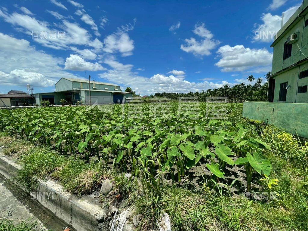 高美路縣道旁美麗土地房屋室內格局與周邊環境