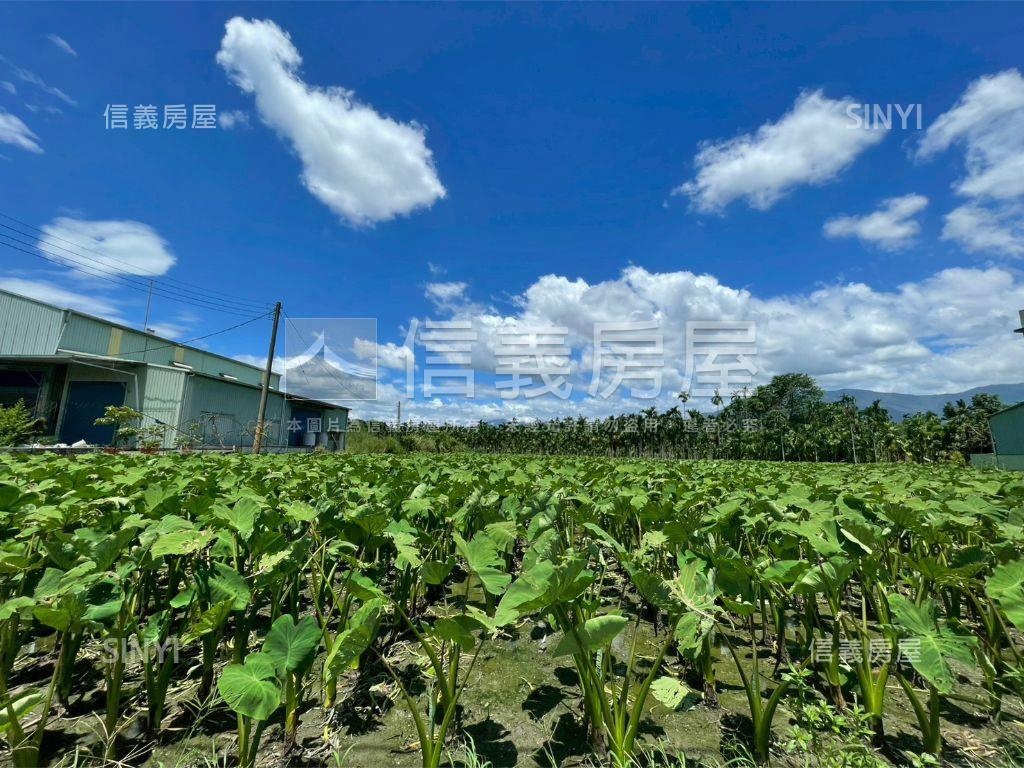 高美路縣道旁美麗土地房屋室內格局與周邊環境