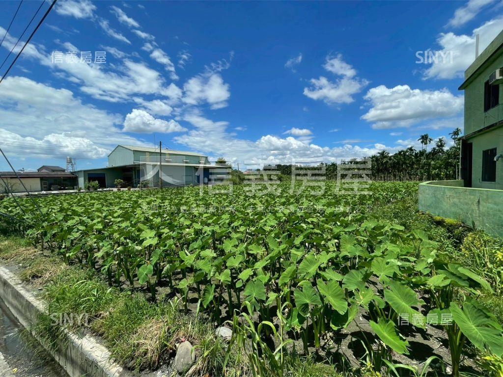 高美路縣道旁美麗土地房屋室內格局與周邊環境