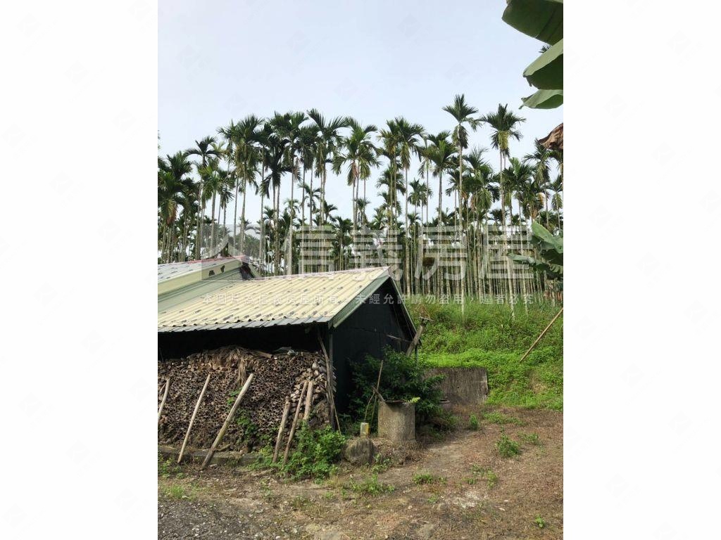 花蓮富里鄉開闊農牧大土地房屋室內格局與周邊環境