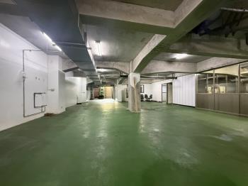 龍安霸氣稀有商場