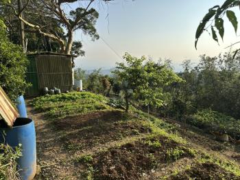 永公路２４７坪臨路土地