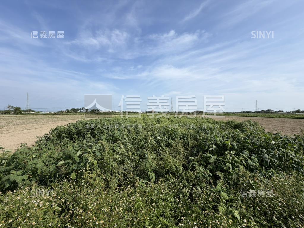 新營姑爺段開心農場房屋室內格局與周邊環境