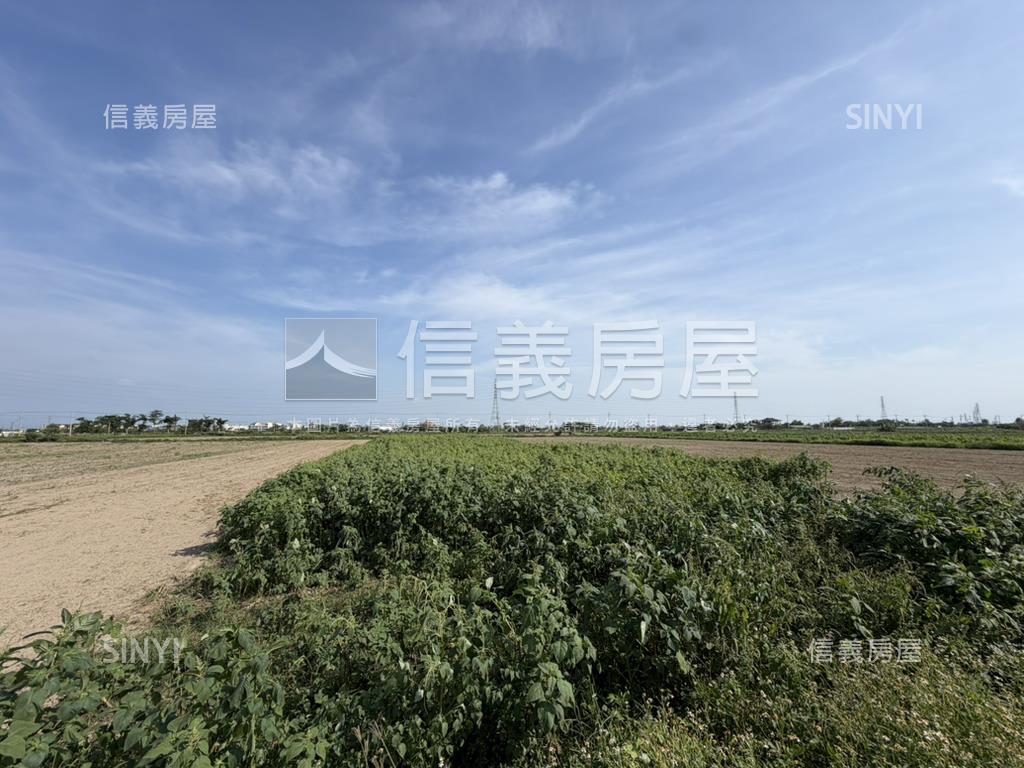 新營姑爺段開心農場房屋室內格局與周邊環境