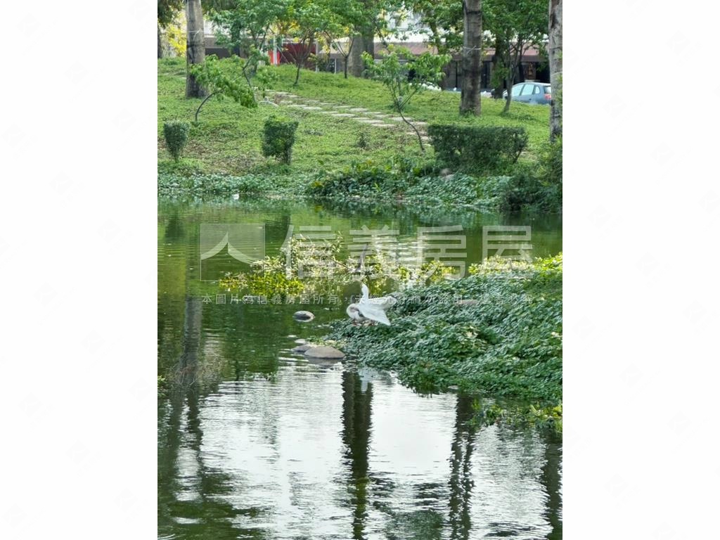 十二期朝南好規劃土地房屋室內格局與周邊環境