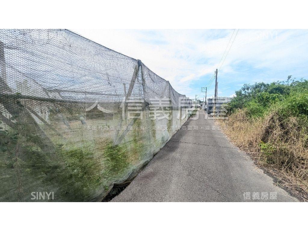 新社有水有電開心農場房屋室內格局與周邊環境