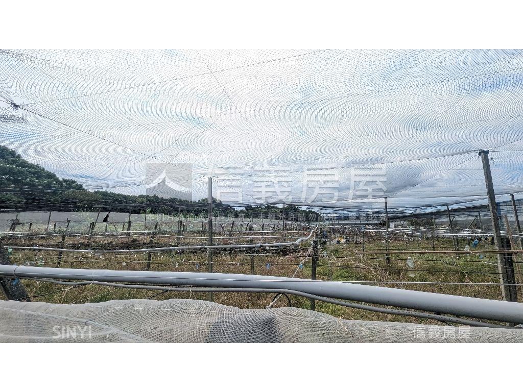 新社有水有電開心農場房屋室內格局與周邊環境