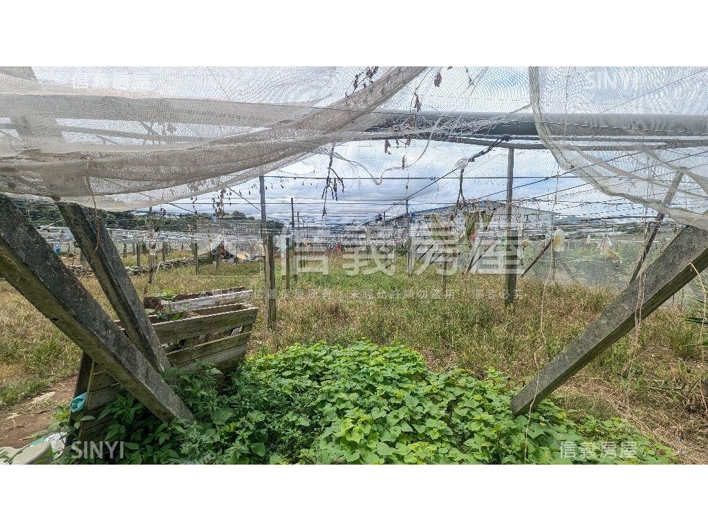 新社有水有電開心農場房屋室內格局與周邊環境