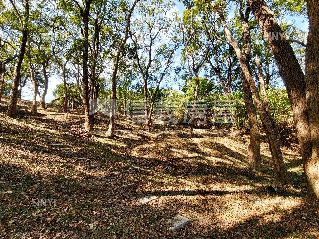 大湖路休閒土地－琉森莊園房屋室內格局與周邊環境