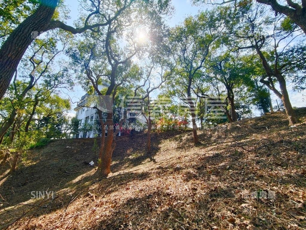 大湖路休閒土地－琉森莊園房屋室內格局與周邊環境