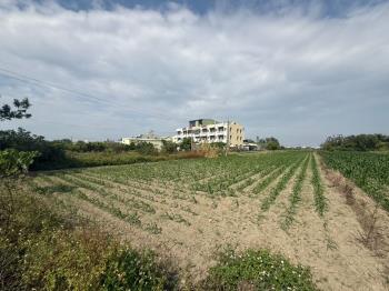 西港三角窗潛力持分農地