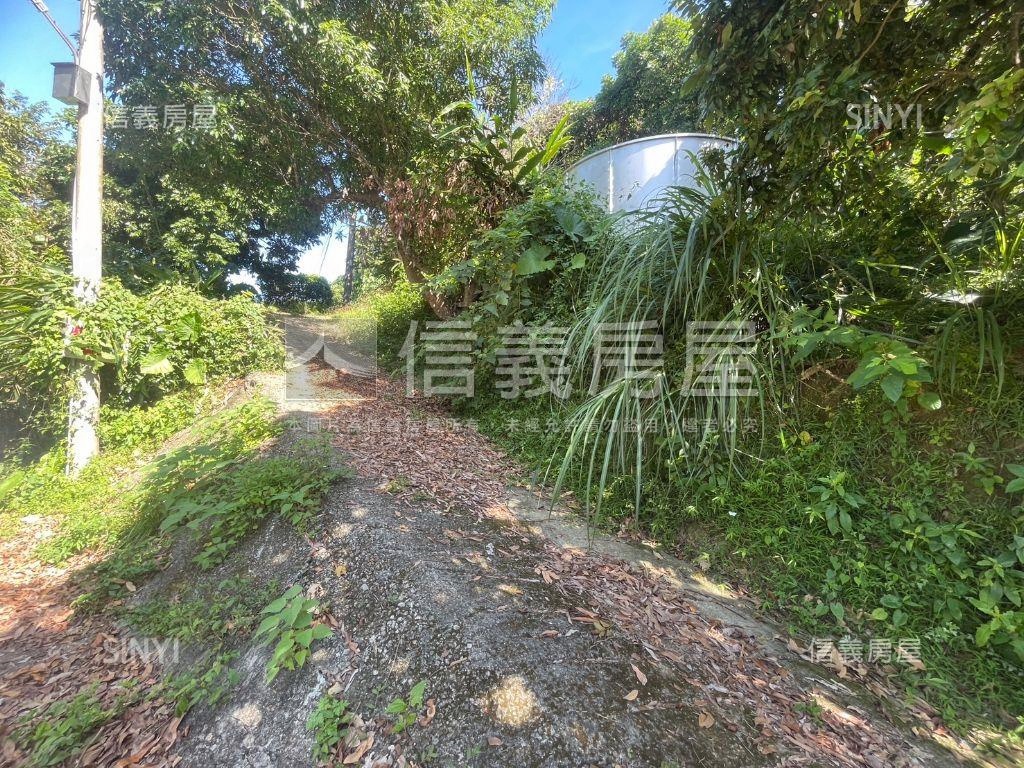 太平黃竹坑美地房屋室內格局與周邊環境