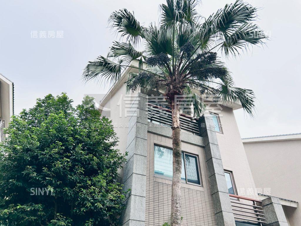 客運園區稀有透天－水與樹房屋室內格局與周邊環境