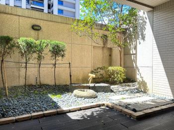 登陽柏悅露台戶全新未住