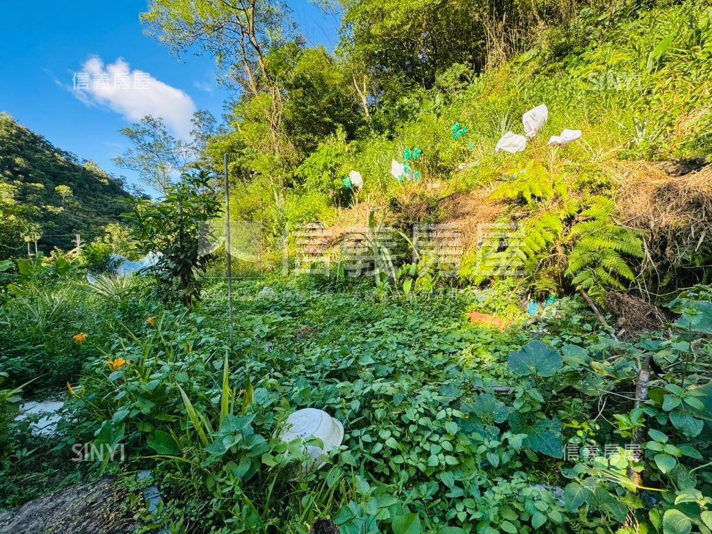 石碇百坪近道路農地房屋室內格局與周邊環境