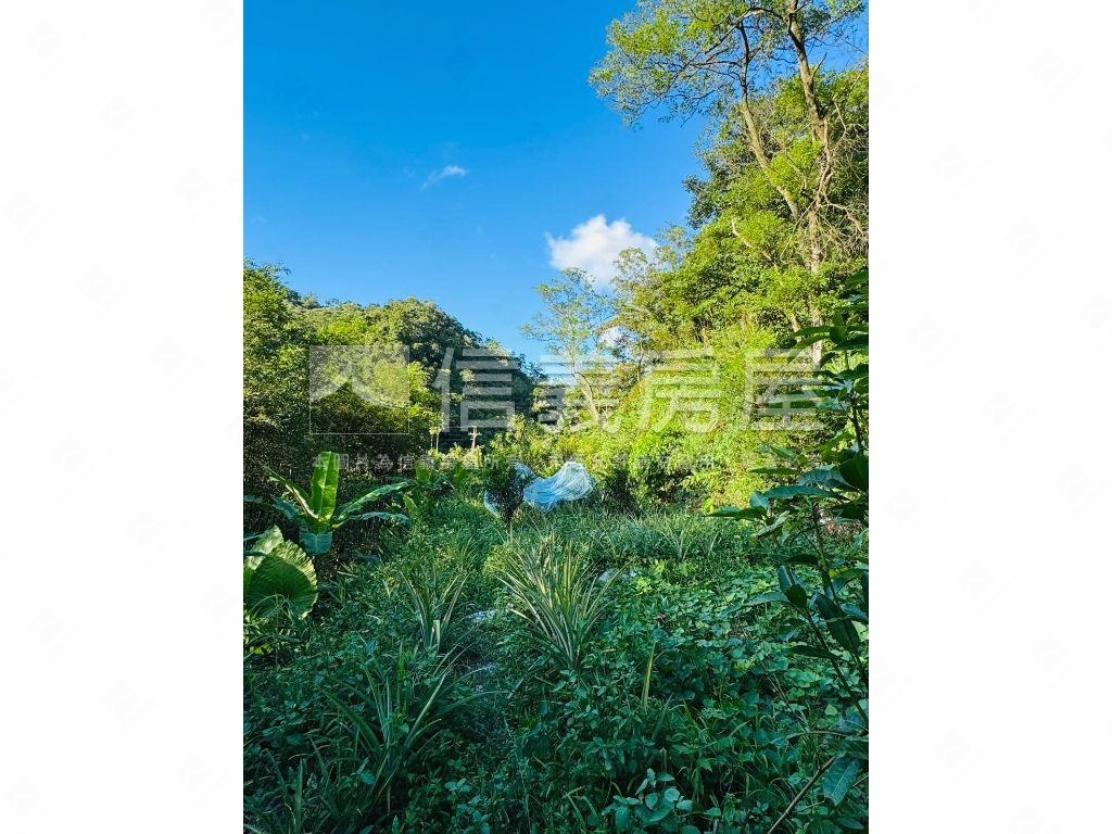 石碇百坪近道路農地房屋室內格局與周邊環境
