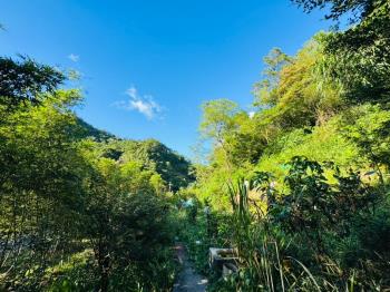 石碇百坪近道路農地