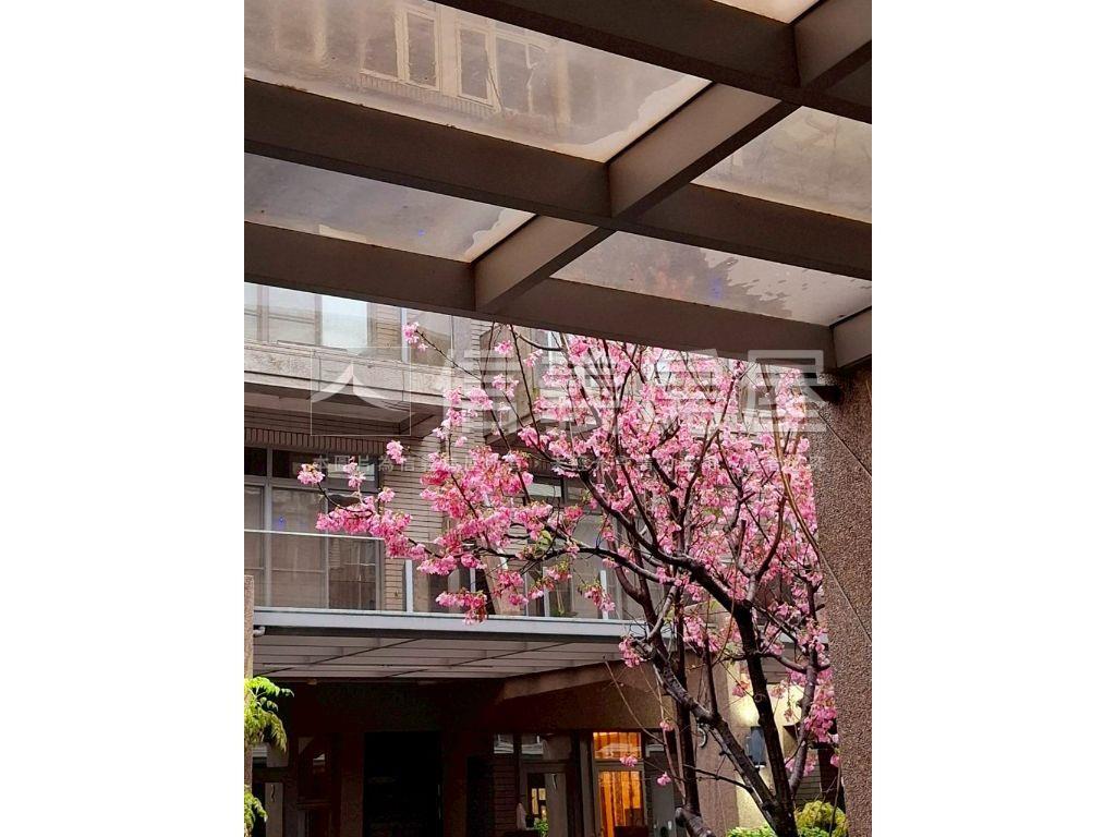 大溪櫻花美透天房屋室內格局與周邊環境