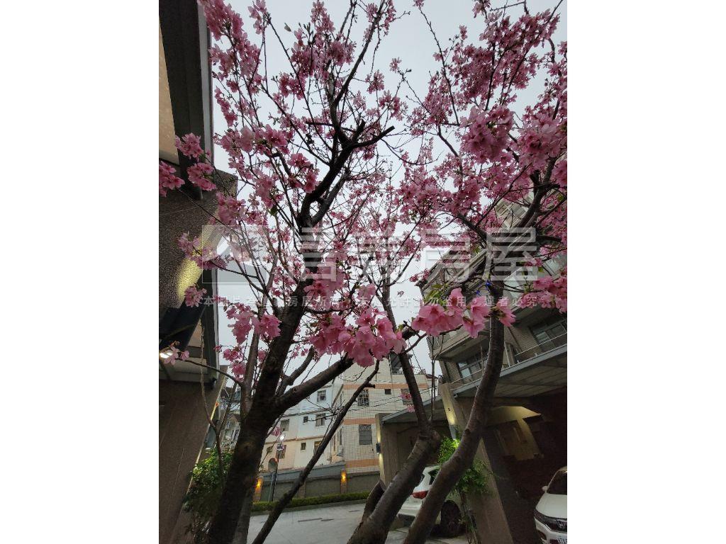 大溪櫻花美透天房屋室內格局與周邊環境
