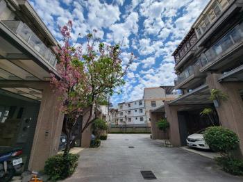 大溪櫻花美透天