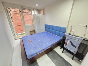 板新站收租聖品金雞母