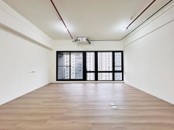 桃大真－高樓景觀雙車位