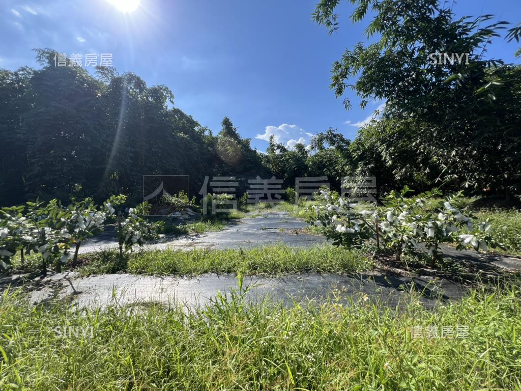 稀有近力麗威斯汀農地房屋室內格局與周邊環境