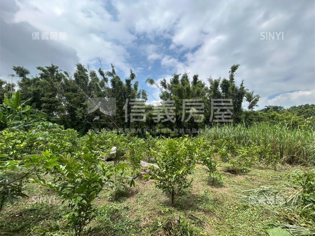 落羽松開心農地房屋室內格局與周邊環境