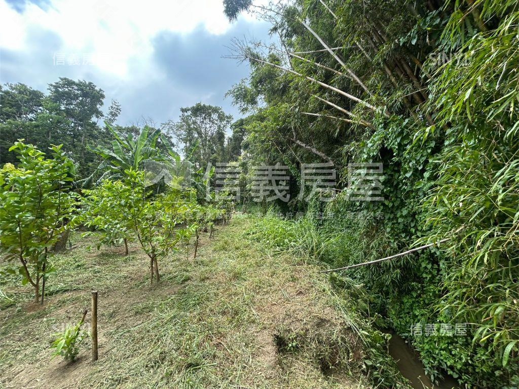落羽松開心農地房屋室內格局與周邊環境