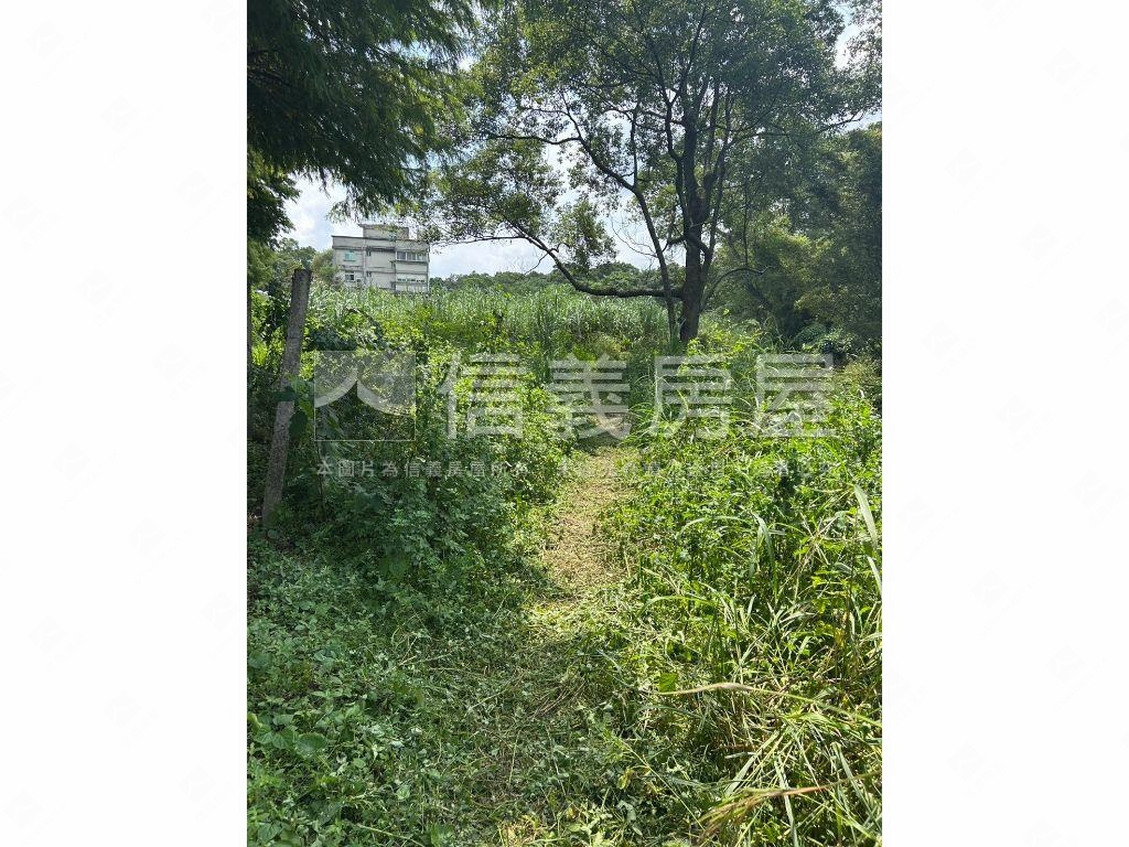 落羽松開心農地房屋室內格局與周邊環境