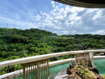 水鋼琴三房車位高樓景觀居