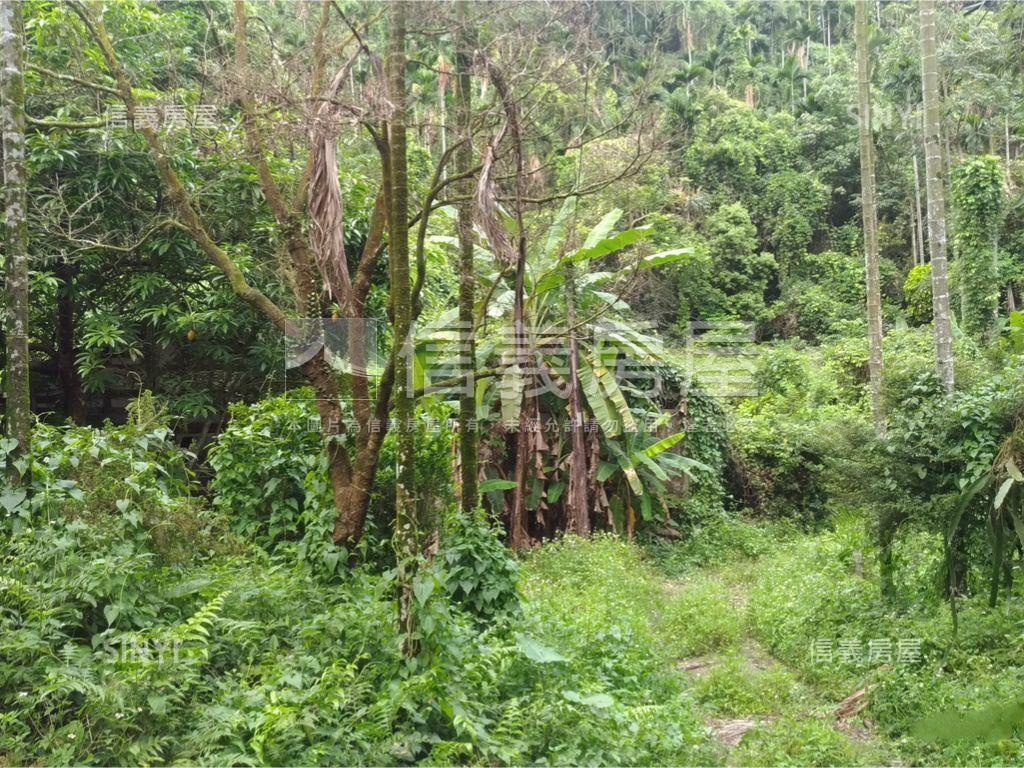 中埔鄉灣潭子段３８９－４房屋室內格局與周邊環境
