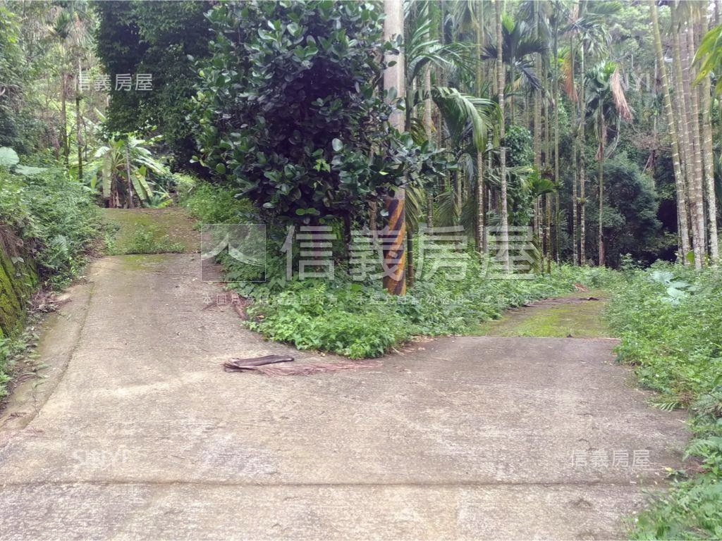 中埔鄉灣潭子段３８９－４房屋室內格局與周邊環境